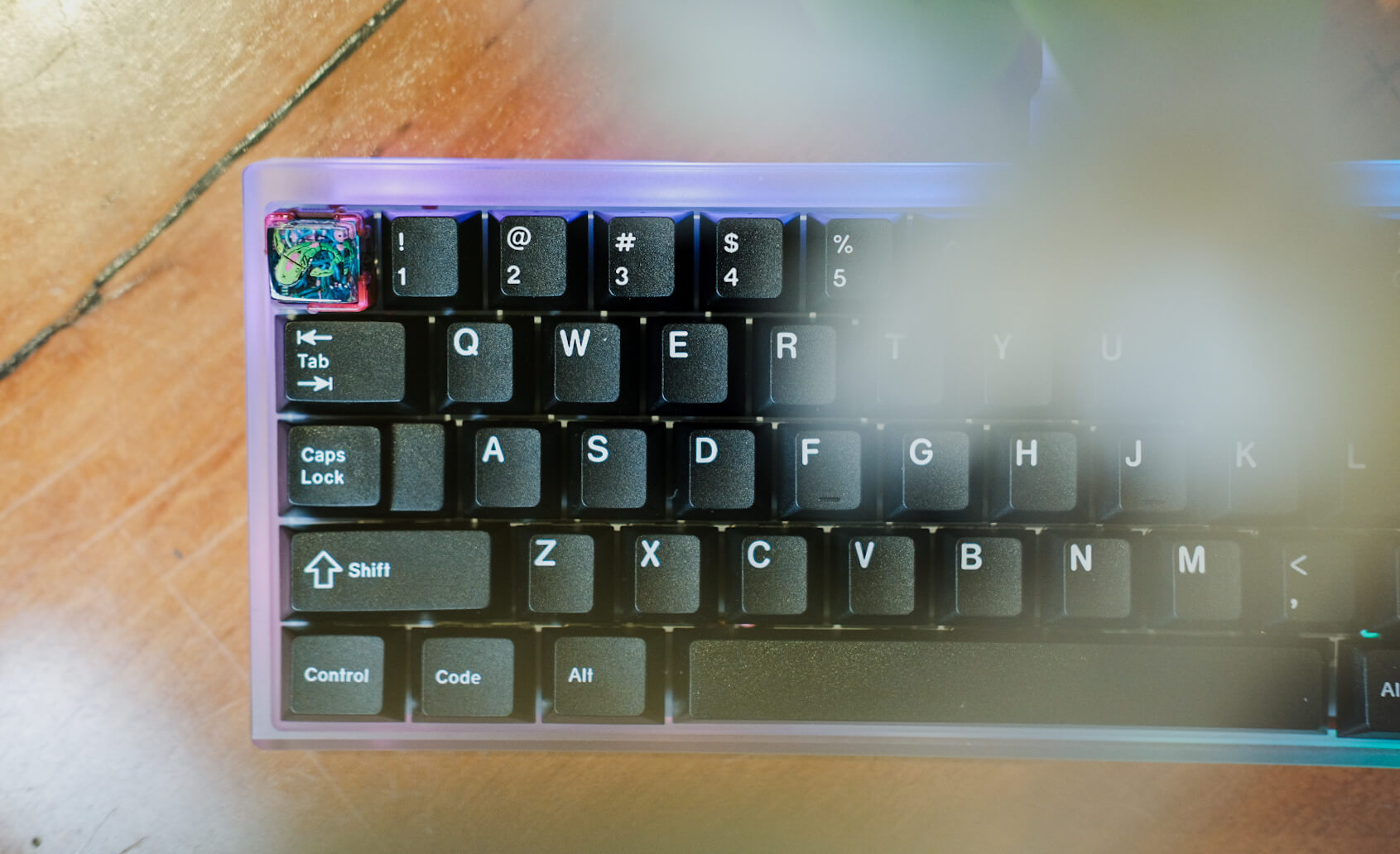 Dropbear60