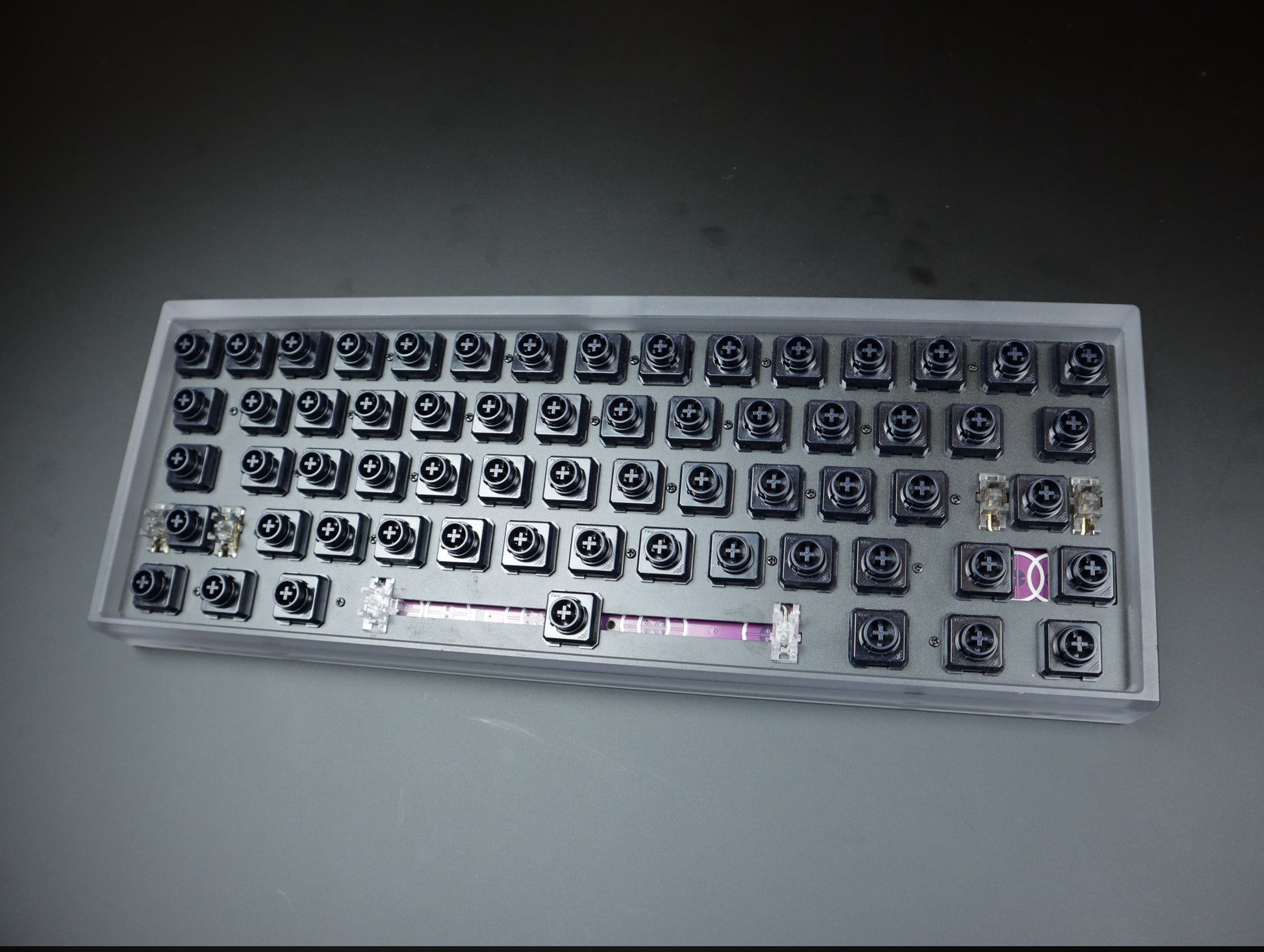 Dropbear60