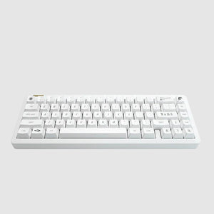 ID67 Bestype Keyboard Kit