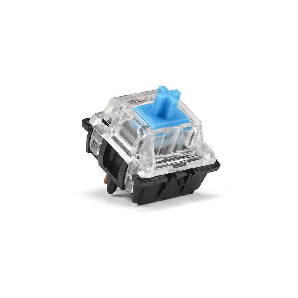 Gateron Switches (x10)