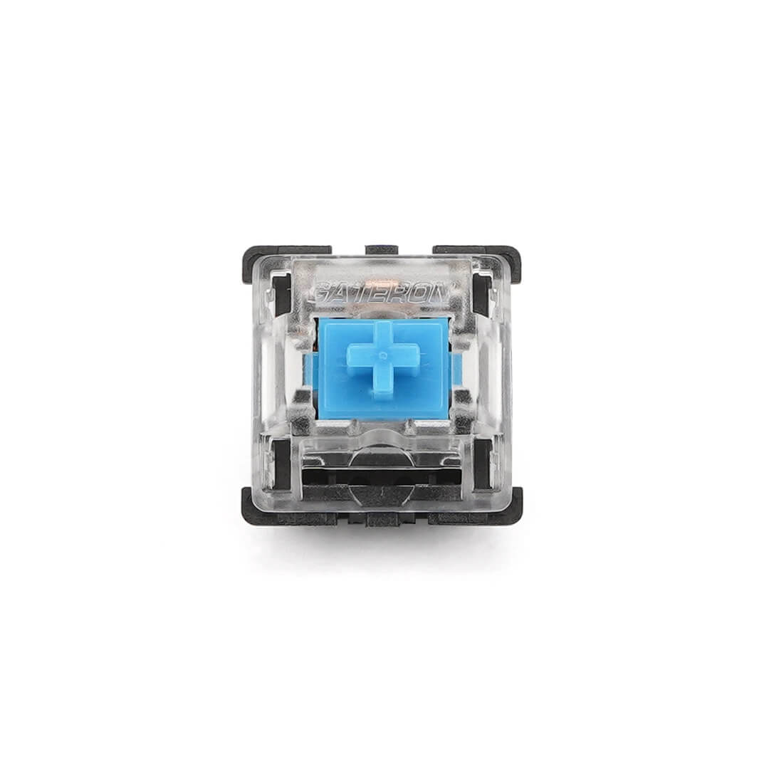 Gateron Switches (x10)