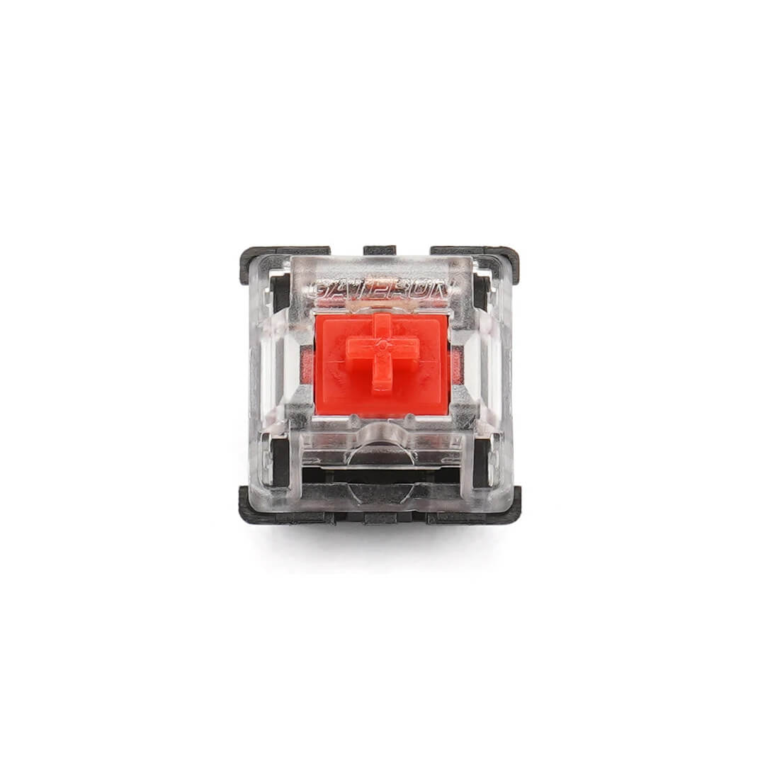 Gateron Switches (x10)