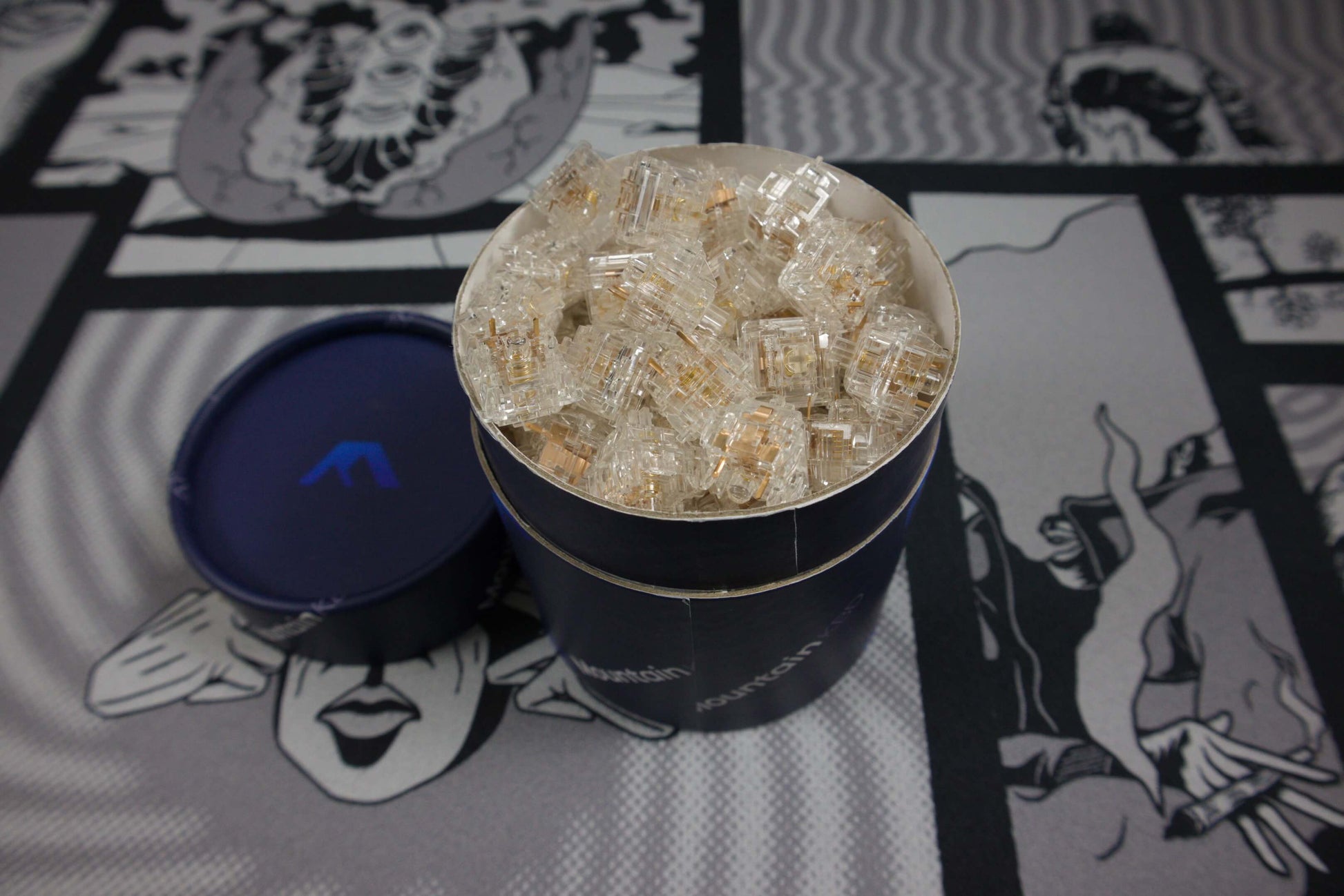 Gateron North Pole Switches (x10)